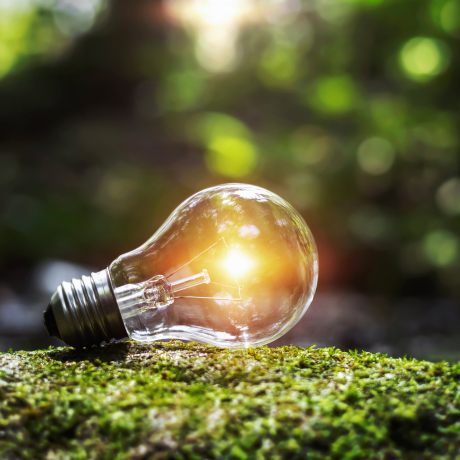 Environmental Services: