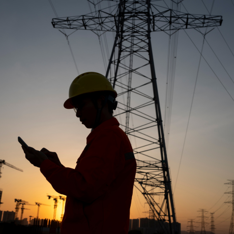 Electrical Bulks: